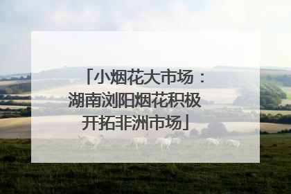 小烟花大市场：湖南浏阳烟花积极开拓非洲市场