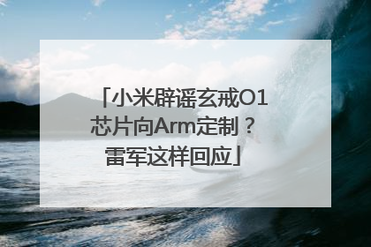 小米辟谣玄戒O1芯片向Arm定制？雷军这样回应