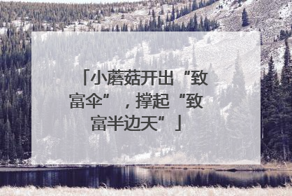 小蘑菇开出“致富伞”，撑起“致富半边天”