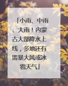 小雨、中雨、大雨！内蒙古大部降水上线，多地还有雷暴大风或冰雹天气