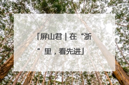 屏山君｜在“浙”里，看先进