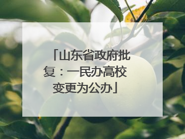 山东省政府批复：一民办高校变更为公办