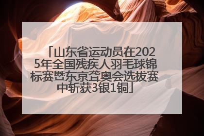 山东省运动员在2025年全国残疾人羽毛球锦标赛暨东京聋奥会选拔赛中斩获3银1铜