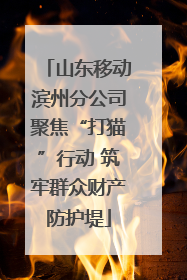 山东移动滨州分公司聚焦“打猫”行动 筑牢群众财产防护堤