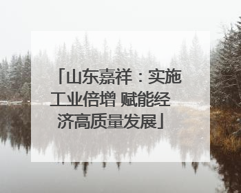 山东嘉祥：实施工业倍增 赋能经济高质量发展