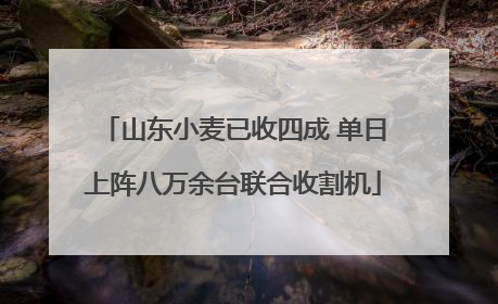 山东小麦已收四成 单日上阵八万余台联合收割机