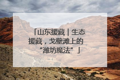 山东援藏｜生态援藏，戈壁滩上的“潍坊魔法”