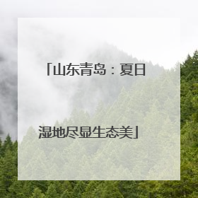 山东青岛：夏日湿地尽显生态美