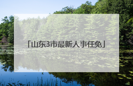 山东3市最新人事任免