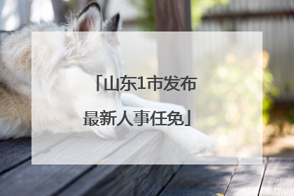 山东1市发布最新人事任免