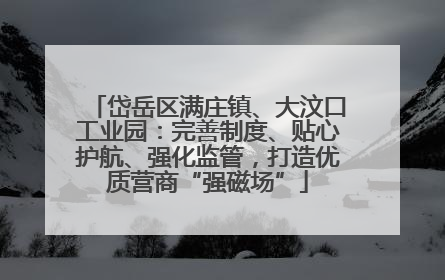 岱岳区满庄镇、大汶口工业园：完善制度、贴心护航、强化监管，打造优质营商“强磁场”