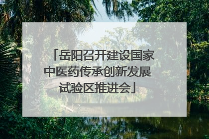 岳阳召开建设国家中医药传承创新发展试验区推进会