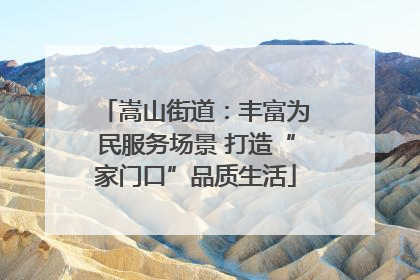 嵩山街道：丰富为民服务场景 打造“家门口”品质生活