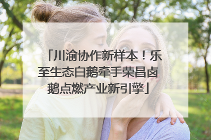 川渝协作新样本！乐至生态白鹅牵手荣昌卤鹅点燃产业新引擎