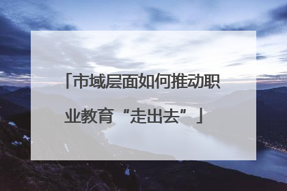 市域层面如何推动职业教育“走出去”