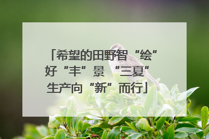 希望的田野智“绘”好“丰”景 “三夏”生产向“新”而行