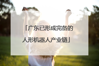 广东已形成完备的人形机器人产业链