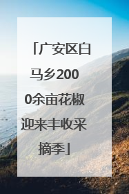 广安区白马乡2000余亩花椒迎来丰收采摘季