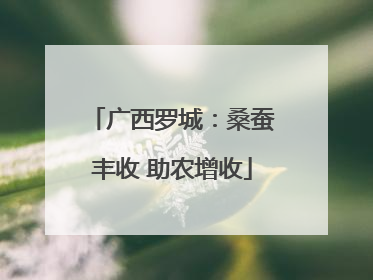 广西罗城：桑蚕丰收 助农增收