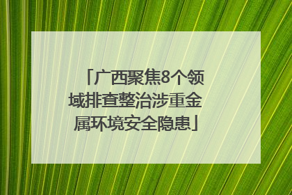 广西聚焦8个领域排查整治涉重金属环境安全隐患