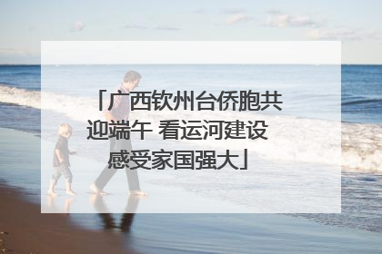 广西钦州台侨胞共迎端午 看运河建设感受家国强大