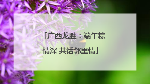 广西龙胜：端午粽情深 共话邻里情