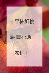 平林鲜桃熟 暖心助农忙