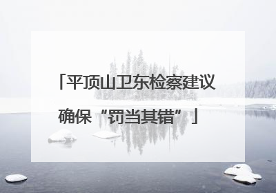 平顶山卫东检察建议确保“罚当其错”