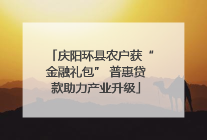 庆阳环县农户获“金融礼包” 普惠贷款助力产业升级