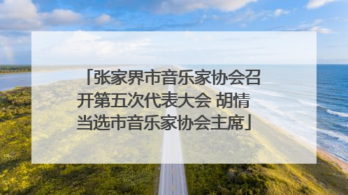 张家界市音乐家协会召开第五次代表大会 胡情当选市音乐家协会主席