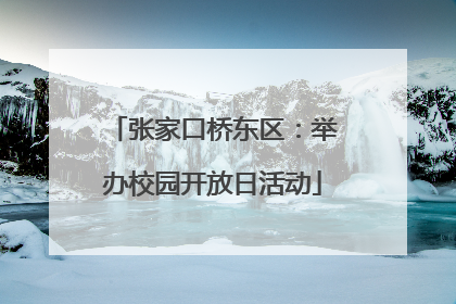 张家口桥东区：举办校园开放日活动