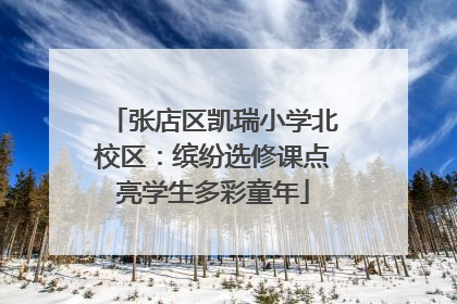 张店区凯瑞小学北校区：缤纷选修课点亮学生多彩童年