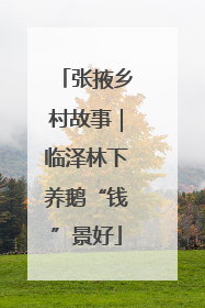 张掖乡村故事｜临泽林下养鹅“钱”景好