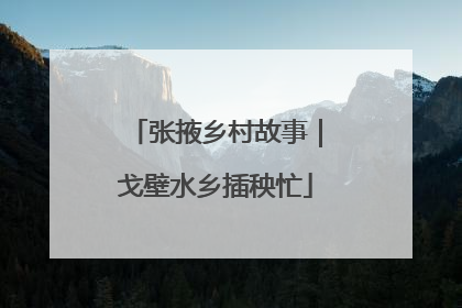 张掖乡村故事｜戈壁水乡插秧忙