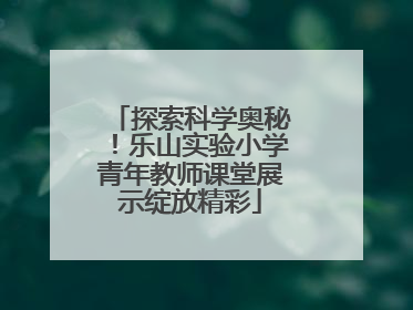 探索科学奥秘！乐山实验小学青年教师课堂展示绽放精彩