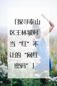 探寻泰山区王林坡村当“红”不让的“网红密码”