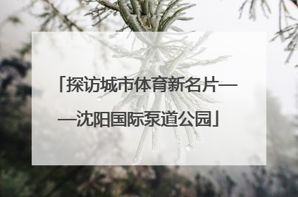 探访城市体育新名片——沈阳国际泵道公园