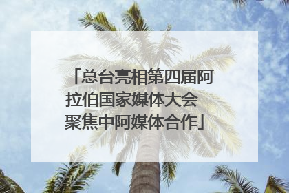 总台亮相第四届阿拉伯国家媒体大会 聚焦中阿媒体合作