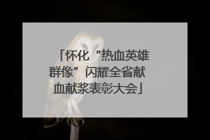 怀化“热血英雄群像”闪耀全省献血献浆表彰大会