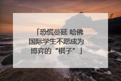 恐慌蔓延 哈佛国际学生不愿成为博弈的“棋子”