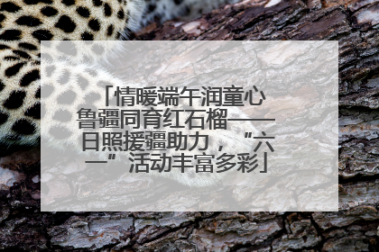 情暖端午润童心 鲁疆同育红石榴——日照援疆助力，“六一”活动丰富多彩