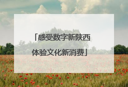 感受数字新陕西 体验文化新消费