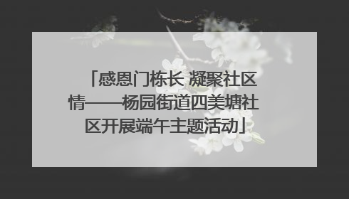 感恩门栋长 凝聚社区情——杨园街道四美塘社区开展端午主题活动