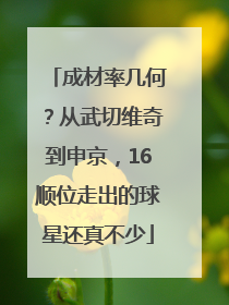 成材率几何？从武切维奇到申京，16顺位走出的球星还真不少