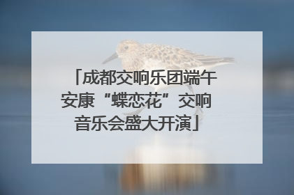 成都交响乐团端午安康“蝶恋花”交响音乐会盛大开演