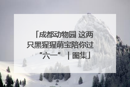 成都动物园 这两只黑猩猩萌宝陪你过“六一”｜图集