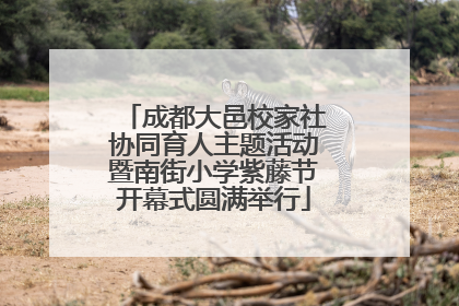 成都大邑校家社协同育人主题活动暨南街小学紫藤节开幕式圆满举行