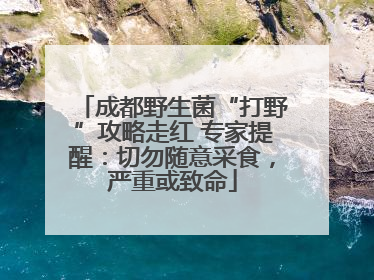 成都野生菌“打野”攻略走红 专家提醒：切勿随意采食，严重或致命