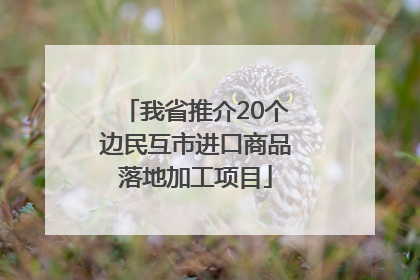 我省推介20个边民互市进口商品落地加工项目