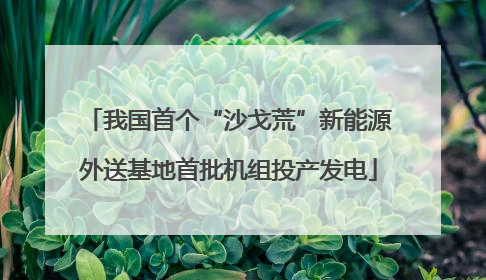 我国首个“沙戈荒”新能源外送基地首批机组投产发电